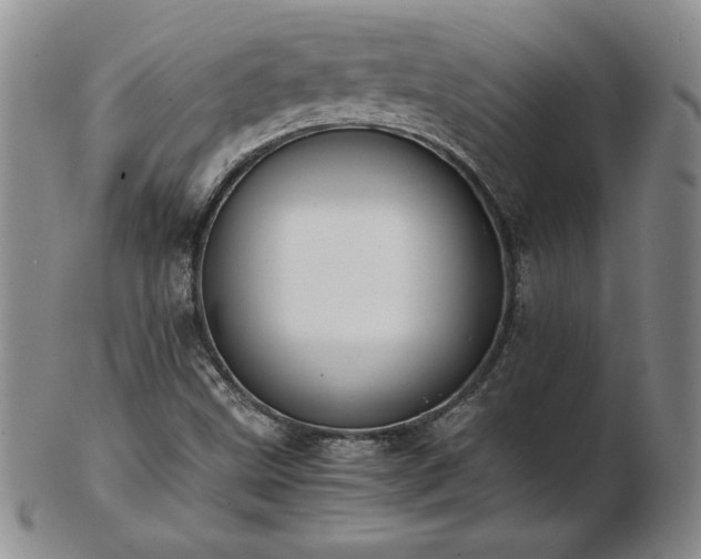 X0000103131499200808221142