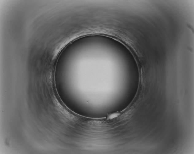 X0000103131500200808221142