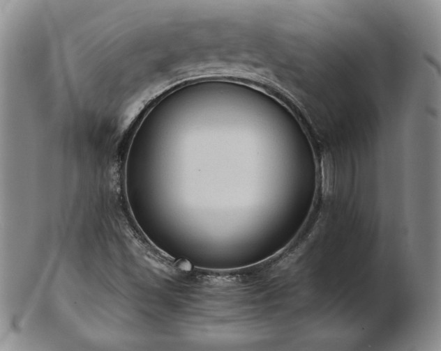 X0000103131501200808221142