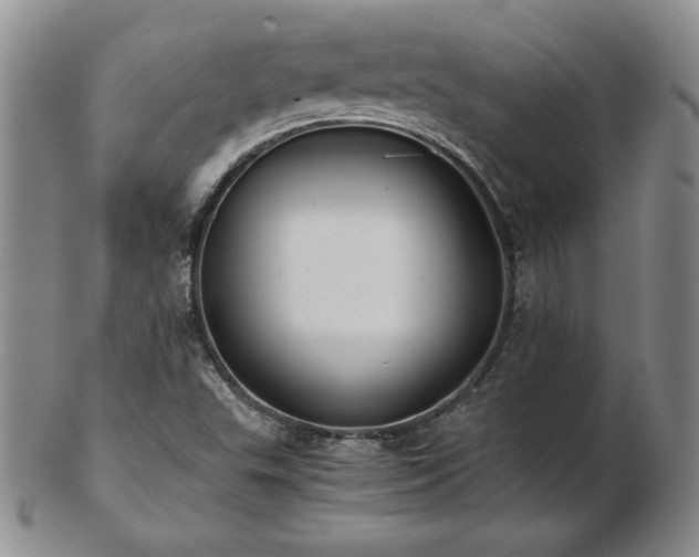 X0000103131503200808221142