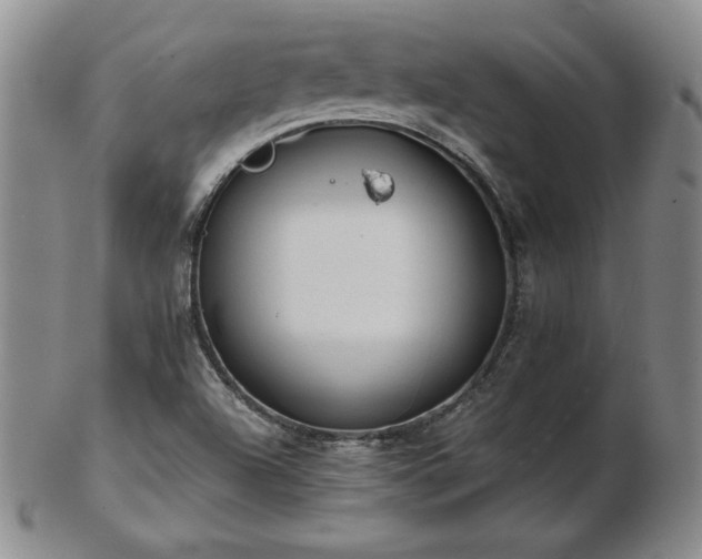 X0000103131504200808221142