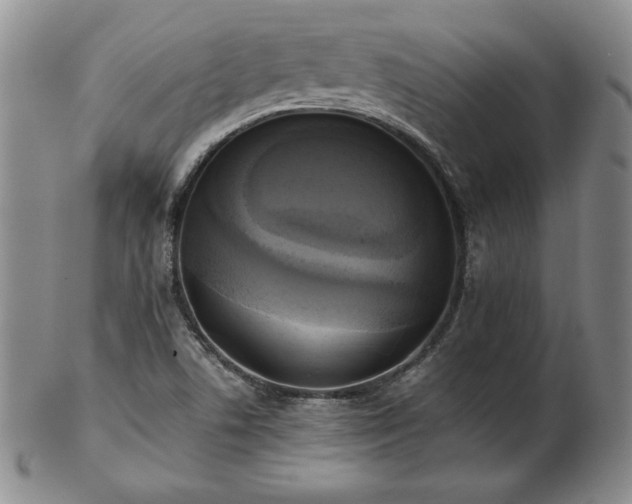 X0000103131506200808221142