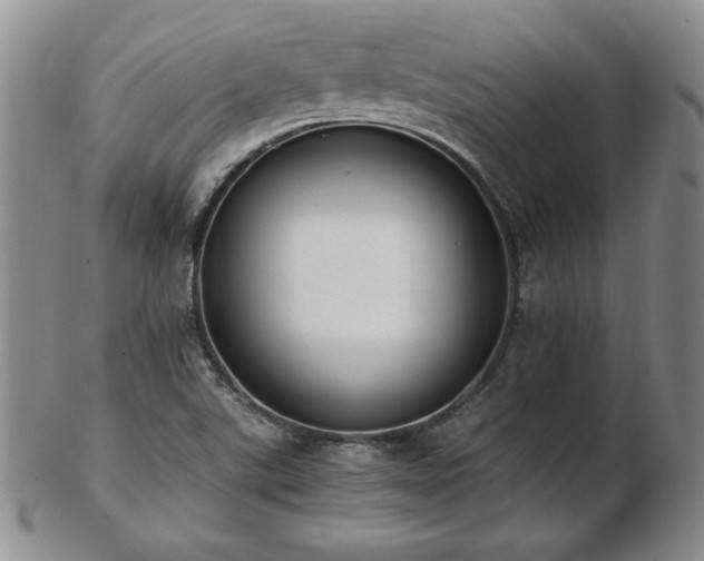 X0000103131507200808221142
