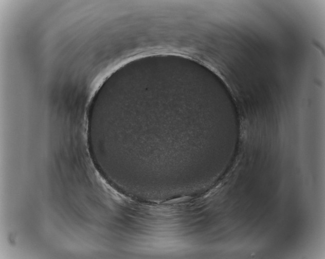 X0000103131508200808221142