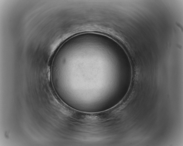 X0000103131509200808221142