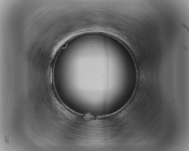 X0000103131510200808221142
