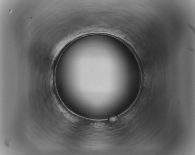 X0000103131511200808221142
