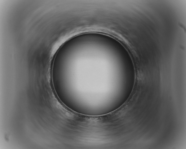 X0000103131512200808221142