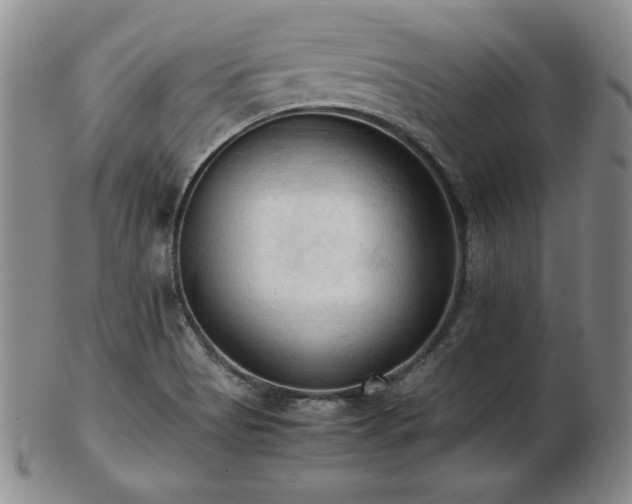 X0000103131513200808221142