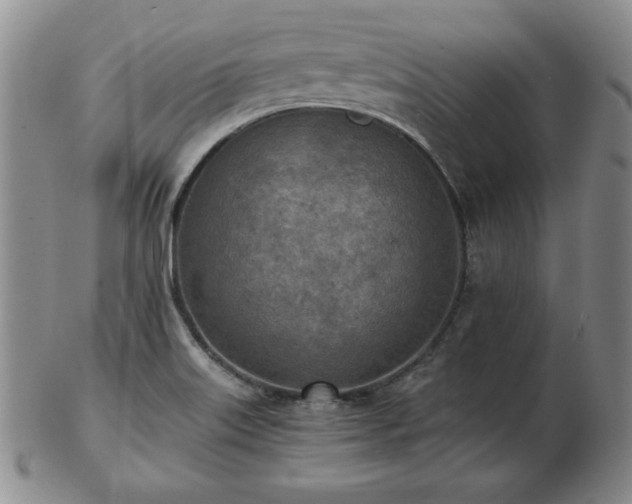X0000103131515200808221142