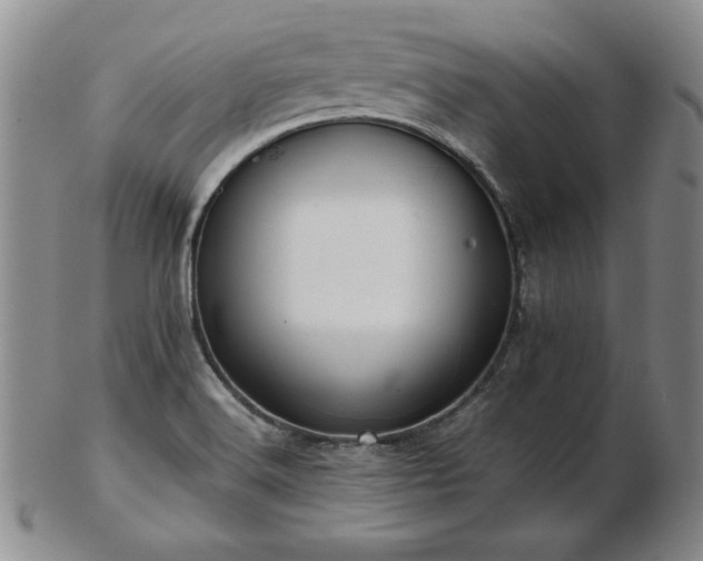 X0000103131516200808221142