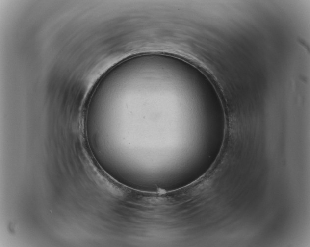 X0000103131517200808221142