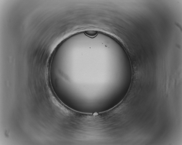 X0000103131518200808221142