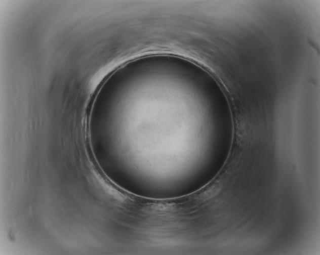 X0000103131519200808221142