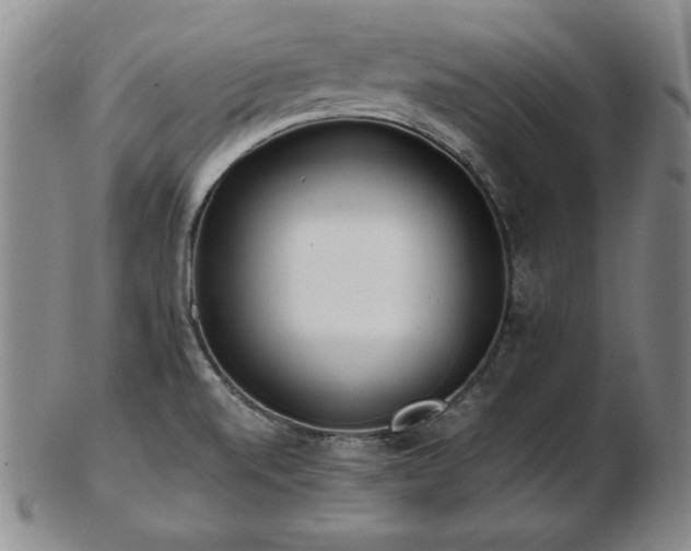 X0000103131520200808221142