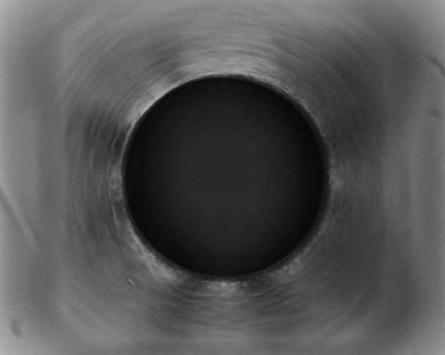 X0000103131521200808221142