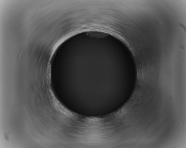 X0000103131522200808221142