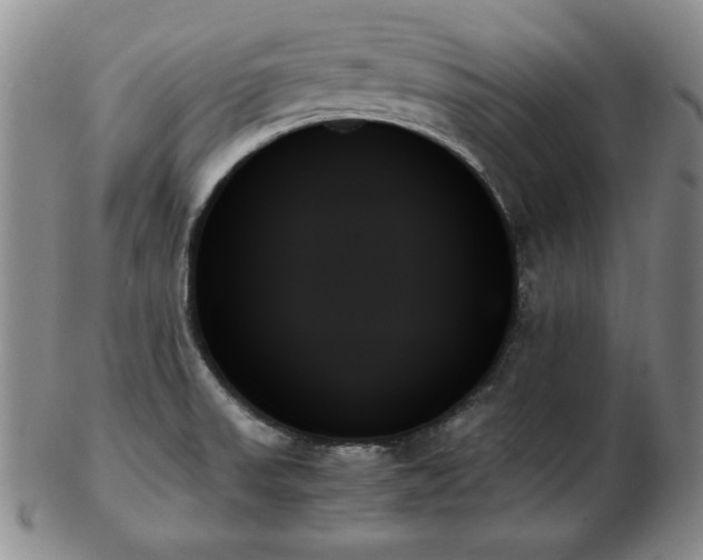 X0000103131523200808221142