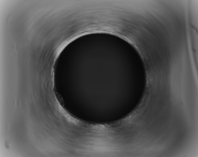 X0000103131524200808221142