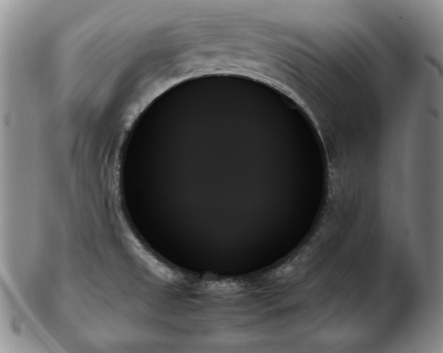 X0000103131525200808221142