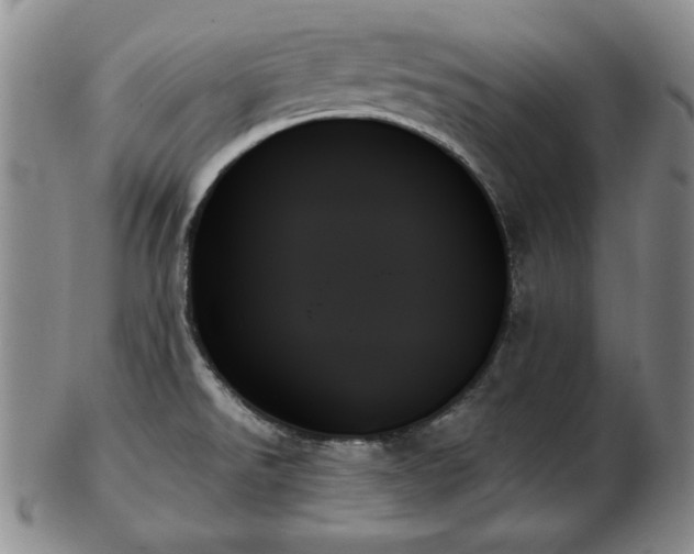 X0000103131526200808221142