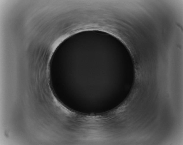 X0000103131527200808221142