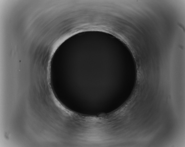 X0000103131528200808221142