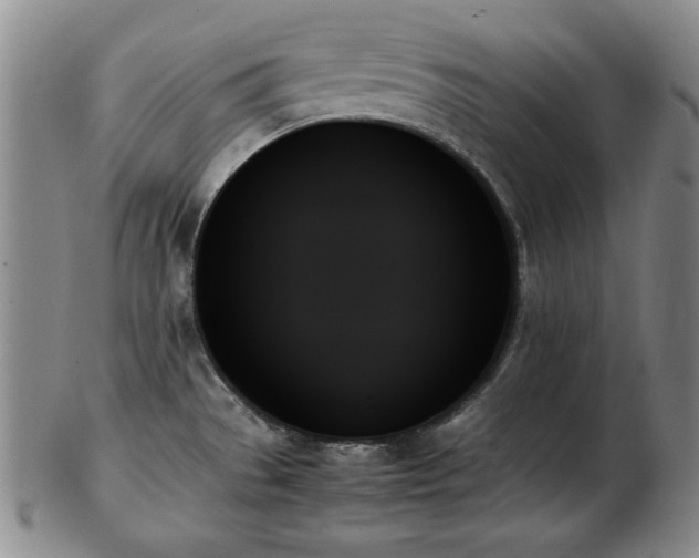 X0000103131529200808221142