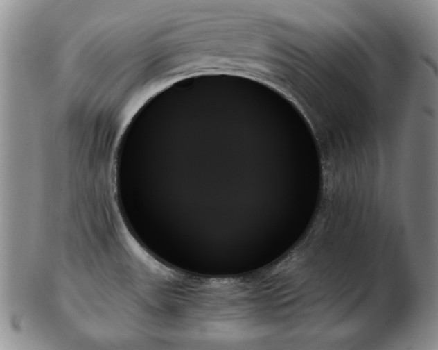 X0000103131531200808221142