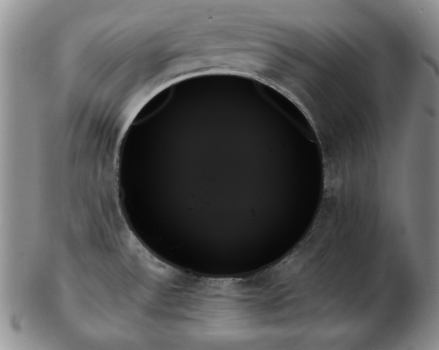 X0000103131532200808221142