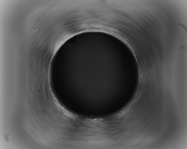 X0000103131533200808221142