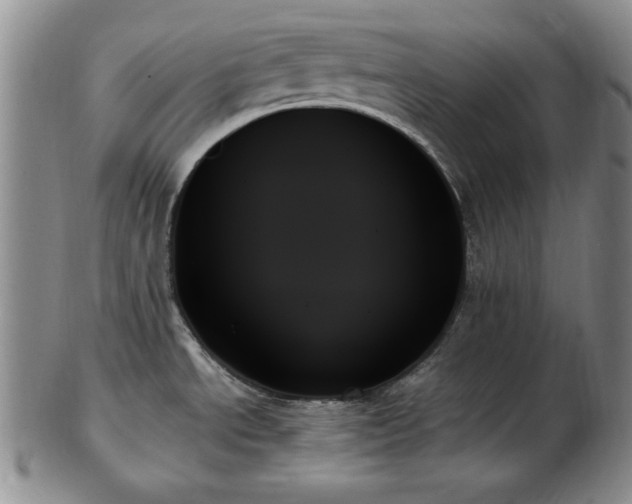 X0000103131534200808221142