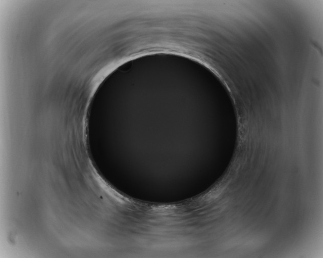 X0000103131535200808221142