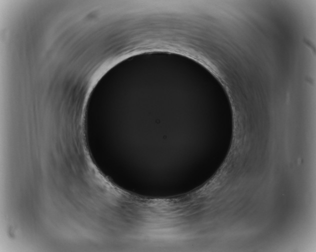 X0000103131536200808221142