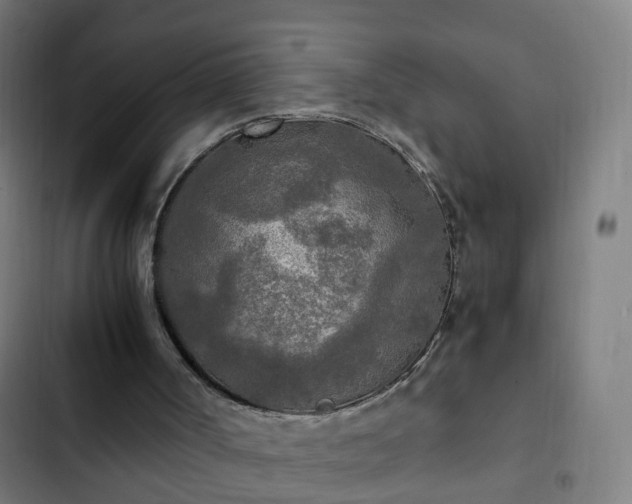 X0000103130002200808291326