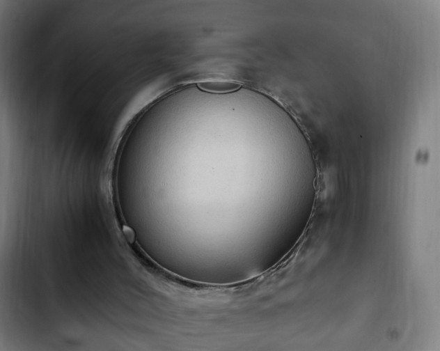 X0000103130004200808291326