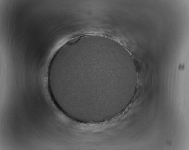 X0000103130005200808291326