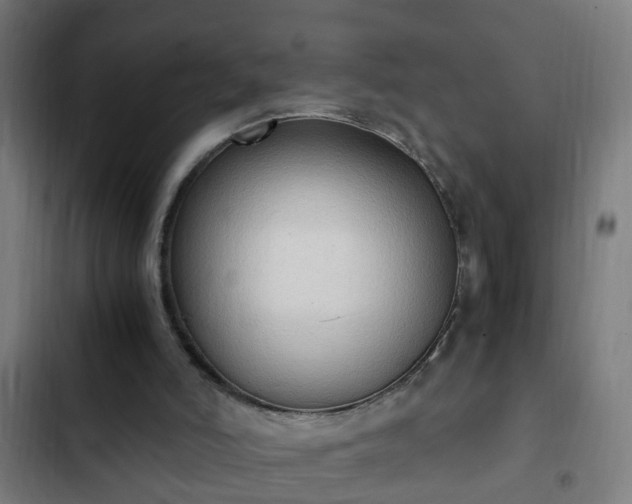 X0000103130006200808291326