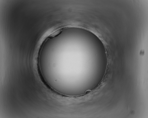 X0000103130007200808291326
