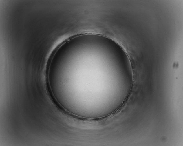 X0000103130008200808291326