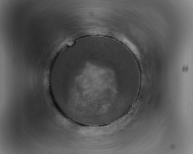 X0000103130009200808291326