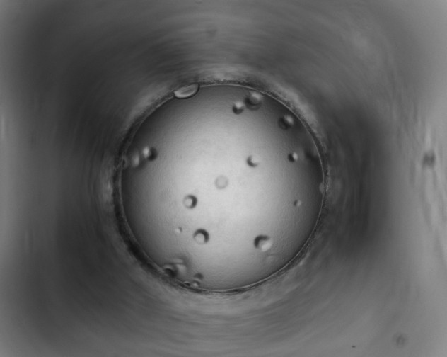 X0000103130010200808291326