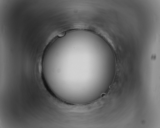 X0000103130011200808291326