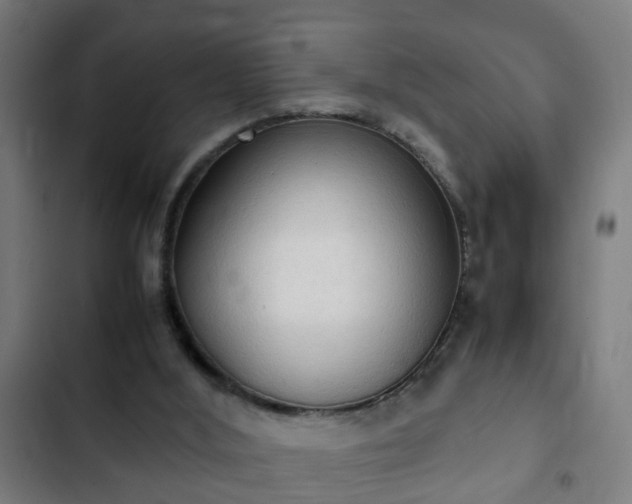 X0000103130012200808291326