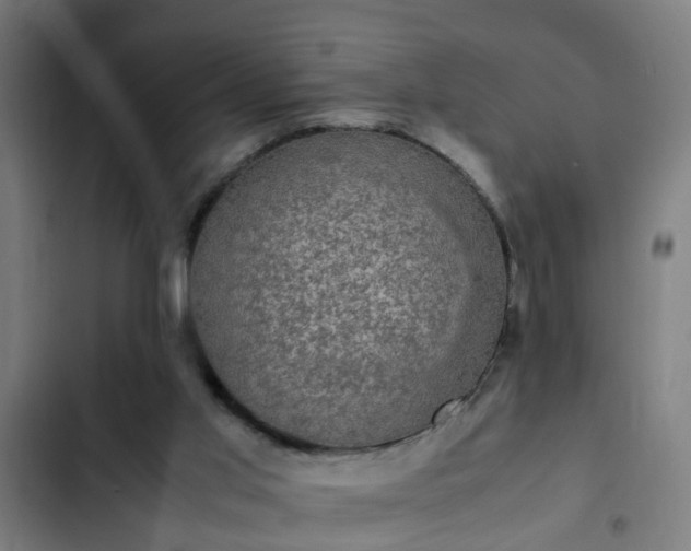 X0000103130013200808291326