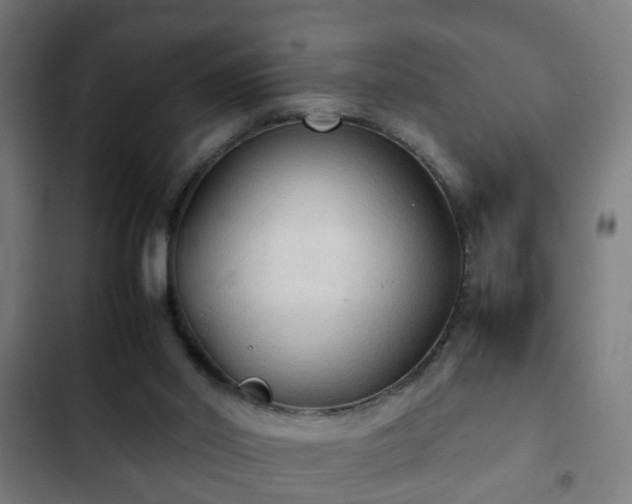 X0000103130014200808291326
