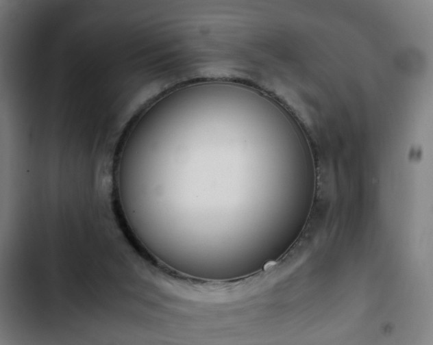 X0000103130015200808291326
