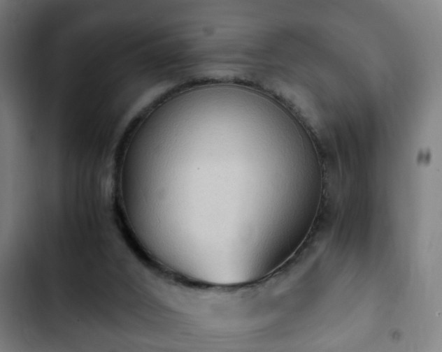 X0000103130016200808291326