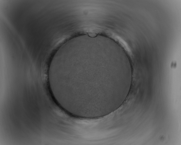 X0000103130017200808291326