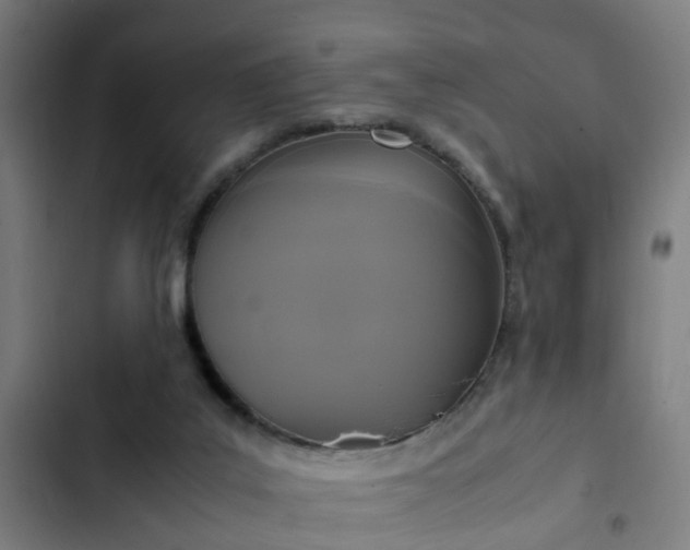 X0000103130019200808291326